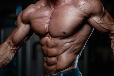 Blog MUSCULATION par Planète forme Limoges
