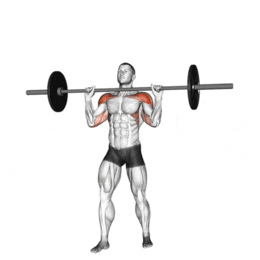 Le développé limitaire par Planète forme salle de musculation Limoges