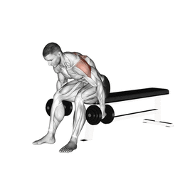 Élévations buste penché pour les deltoïdes par Planète forme salle de musculation Limoges