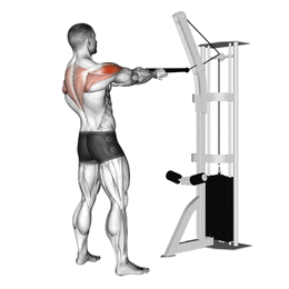 Face pull à la poulie pour les deltoïdes par Planète forme salle de musculation Limoges