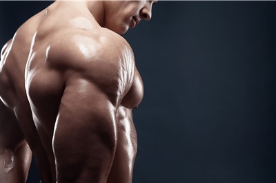 MUSCULATION les Épaules à la salle de musculation Planète forme Limoges