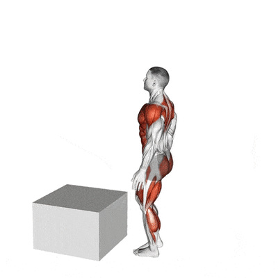 Cardio-training Le jump box avec réception sur une jambe par Planète forme club de fitness Limoges