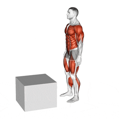 Cardio-training Le jump box avec saut d’une jambe par Planète forme club de fitness Limoges