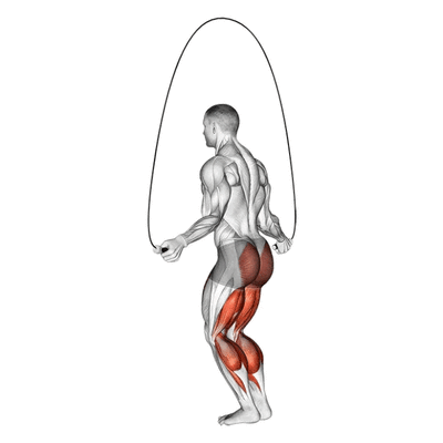Cardio-training Saut à la corde, les muscles sollicités par Planète forme club de fitness Limoges
