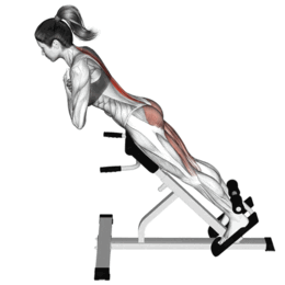 L'extension dorsale par Planète forme club de musculation Limoges
