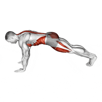 Cardio-training Le Mountain climber par Planète forme club de fitness Limoges
