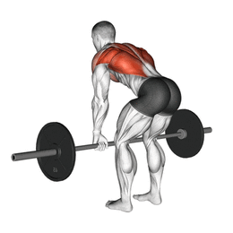Le rowing par Planète forme club de musculation Limoges