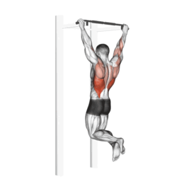Les tractions dos par Planète forme club de musculation Limoges